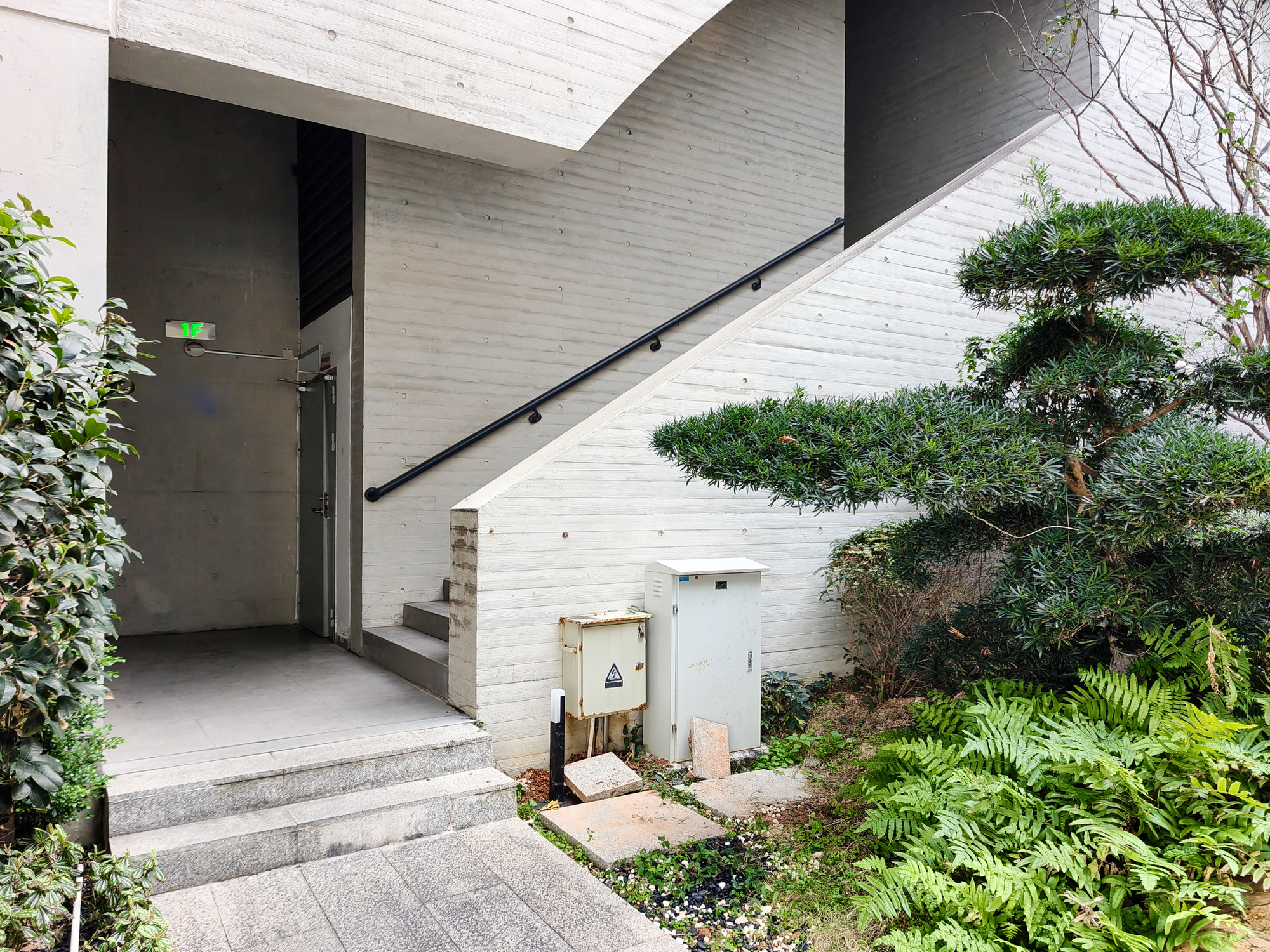 Board-formed concrete entryway with a staircase and black handrail, a grey door at the top of steps, and ferns and shaped shrubs against the wall